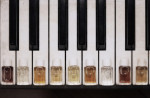 touches piano et marmotons